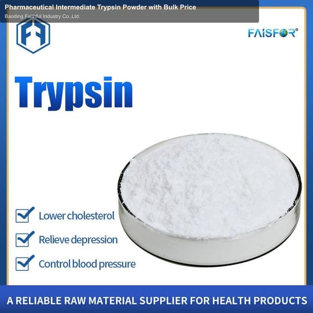 Pharmaceutical Intermediate Trypsin Powder with Bulk Price