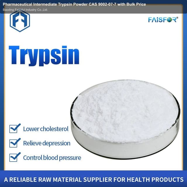 Pharmaceutical Intermediate Trypsin Powder CAS 9002-07-7 with Bulk Price