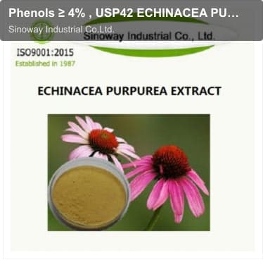 Phenols ≥ 4% , USP42 ECHINACEA PURPUREA EXTRACT