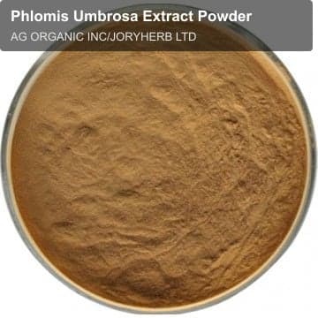 Phlomis Umbrosa Extract Powder