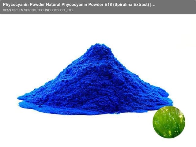 Phycocyanin Powder Natural Phycocyanin Powder E18 (Spirulina Extract) | BRC & Organic Certified | Green Spring Technology