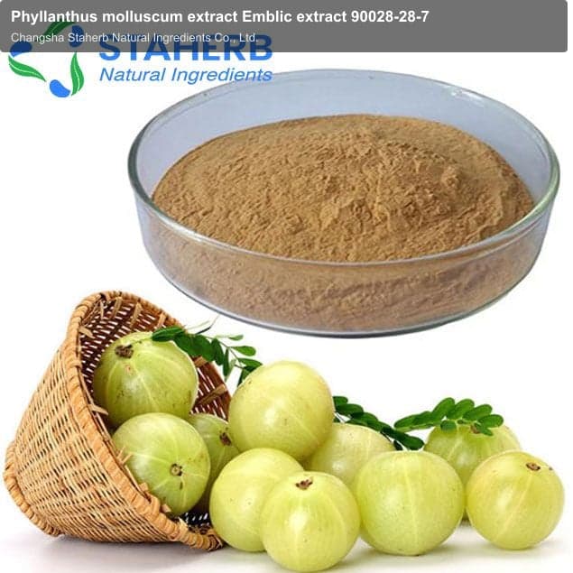 Phyllanthus molluscum extract Emblic extract 90028-28-7