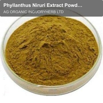 Phyllanthus Niruri Extract Powder