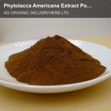 Phytolacca Americana Extract Powder
