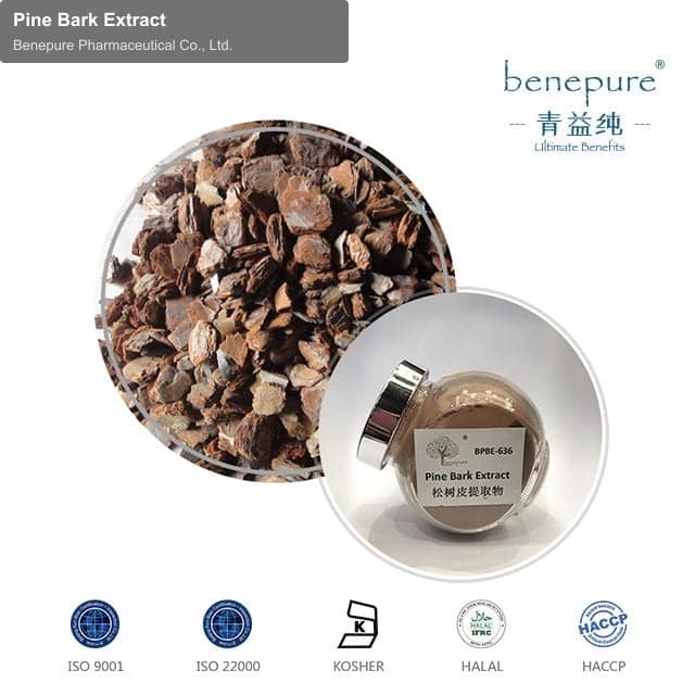 Pine Bark Extract