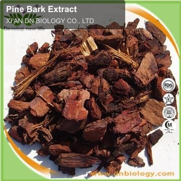 Pine Bark Extract