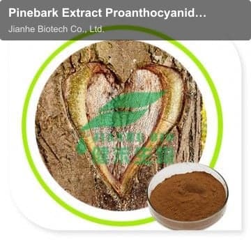 Pinebark Extract Proanthocyanidins