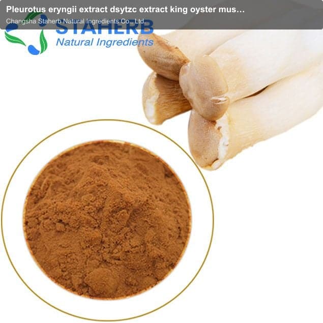 Pleurotus eryngii extract dsytzc extract king oyster mushroom extract Fresh Abalone-shaped Mushrooms