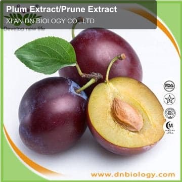 Plum Extract/Prune Extract