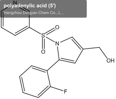 polyadenylic acid (5′)