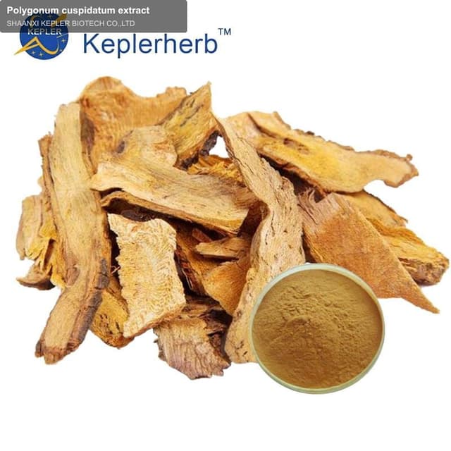 Polygonum cuspidatum extract