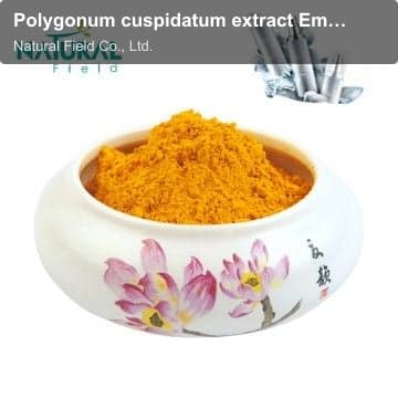 Polygonum cuspidatum extract Emodin 50% 80% 98%