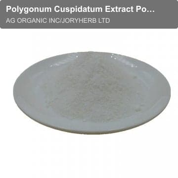 Polygonum Cuspidatum Extract Powder 95%