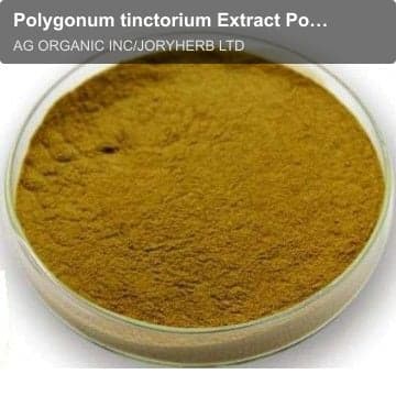 Polygonum tinctorium Extract Powder