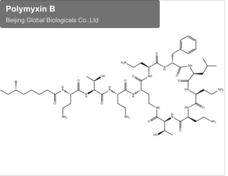 Polymyxin B