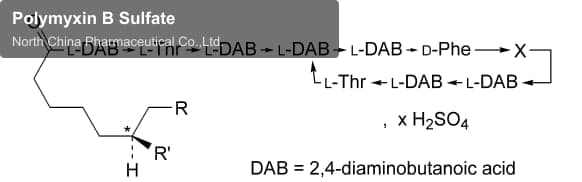 Polymyxin B Sulfate
