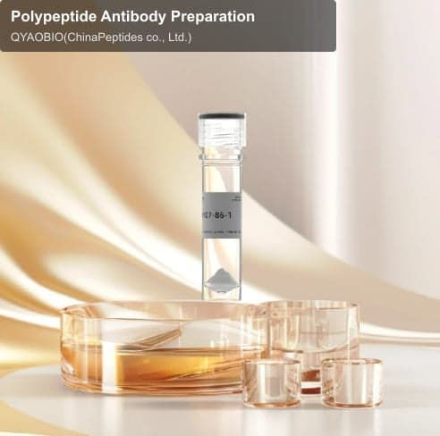 Polypeptide Antibody Preparation