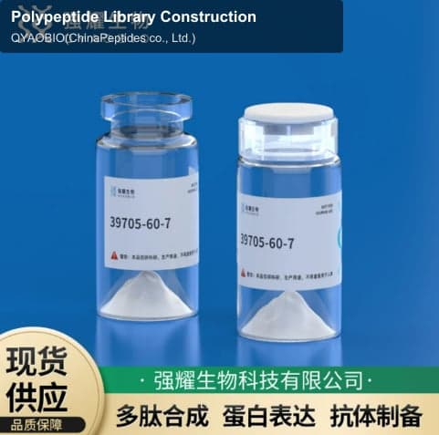 Polypeptide Library Construction