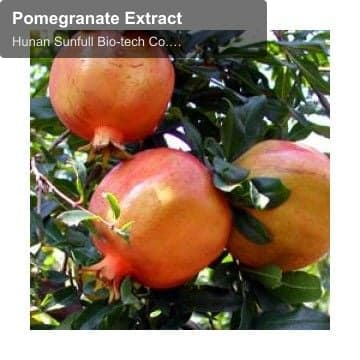 Pomegranate Extract