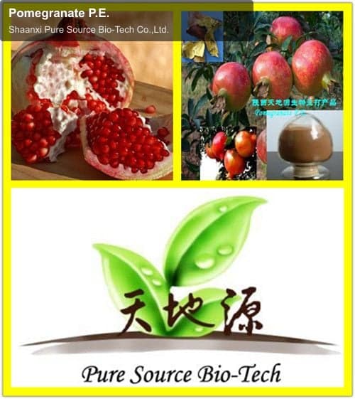 Pomegranate P.E.