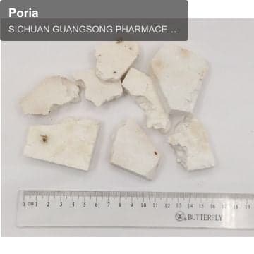 Poria