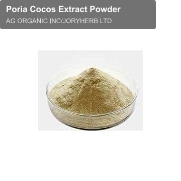 Poria Cocos Extract Powder