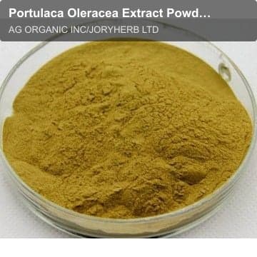 Portulaca Oleracea Extract Powder 5%
