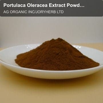 Portulaca Oleracea Extract Powder