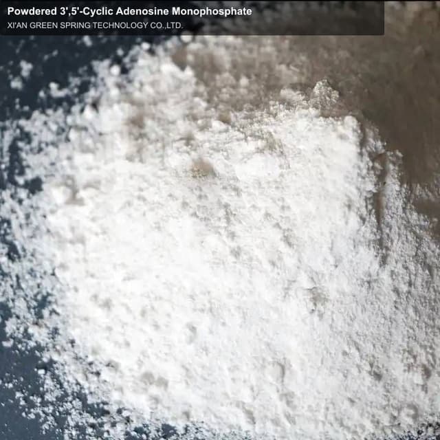 Powdered 3',5'-Cyclic Adenosine Monophosphate