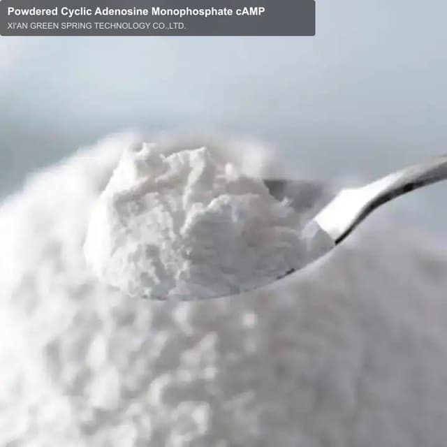 Powdered Cyclic Adenosine Monophosphate cAMP