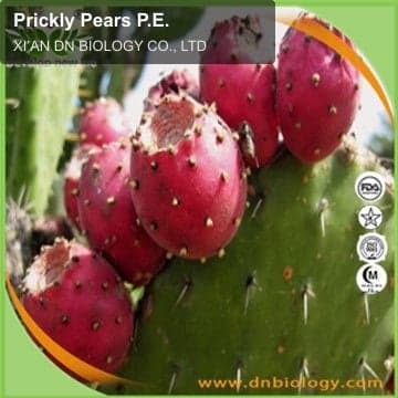 Prickly Pears P.E.