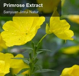Primrose Extract