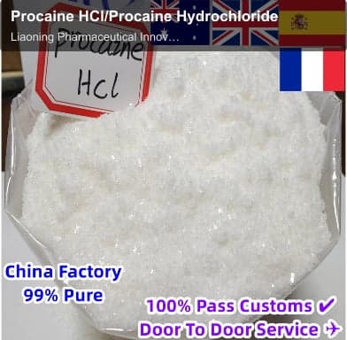 Procaine HCl/Procaine Hydrochloride