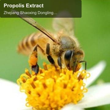 Propolis Extract