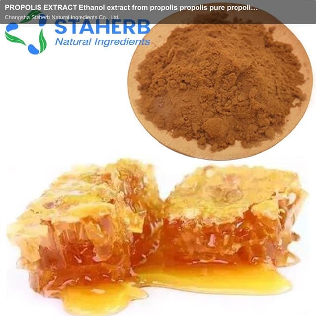 PROPOLIS EXTRACT Ethanol extract from propolis propolis pure propolis pe extract