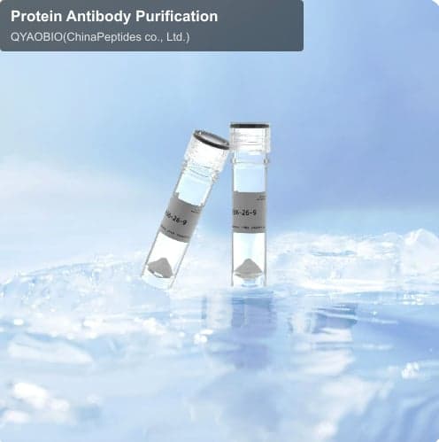 Protein Antibody Purification