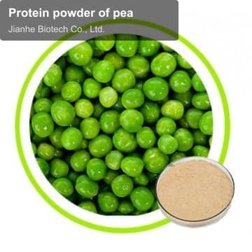 Protein powder of pea