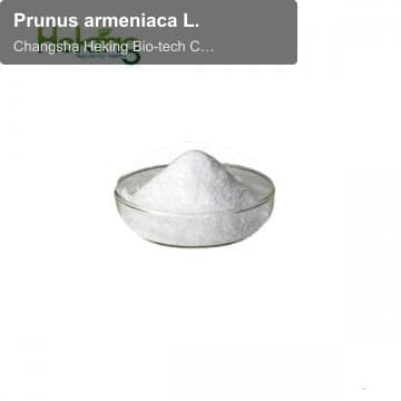 Prunus armeniaca L.