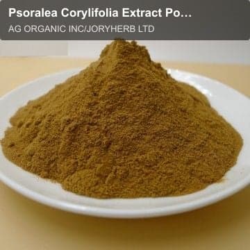 Psoralea Corylifolia Extract Powder