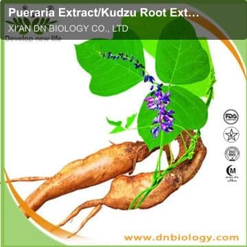 Pueraria Extract/Kudzu Root Extract