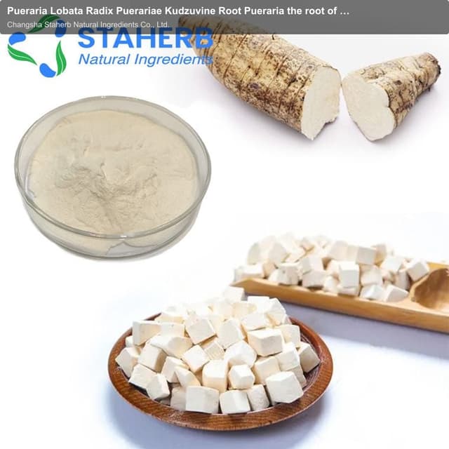 Pueraria Lobata Radix Puerariae Kudzuvine Root Pueraria the root of kudzu vine extract