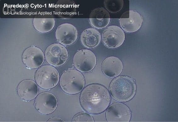 Puredex® Cyto-1 Microcarrier