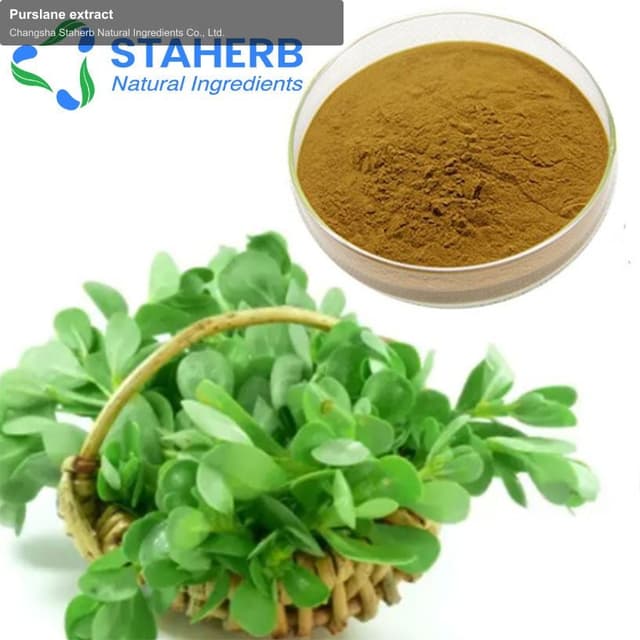 Purslane extract