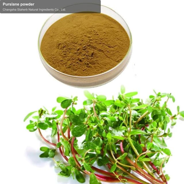 Purslane powder