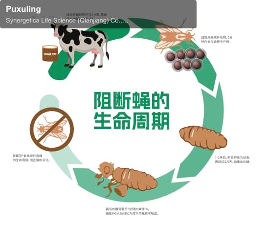 Puxuling