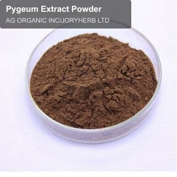 Pygeum Extract Powder
