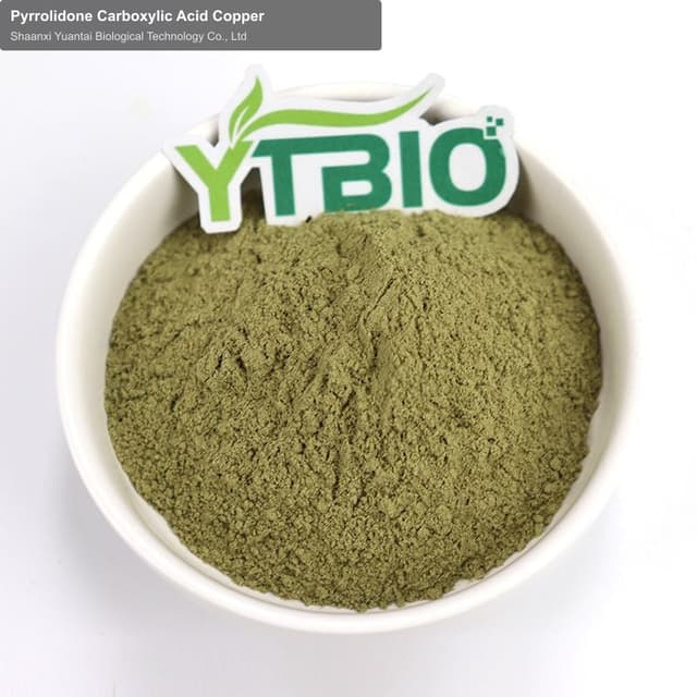 Pyrrolidone Carboxylic Acid Copper
