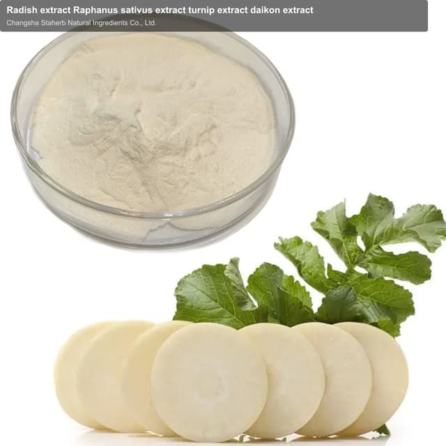 Radish extract Raphanus sativus extract turnip extract daikon extract