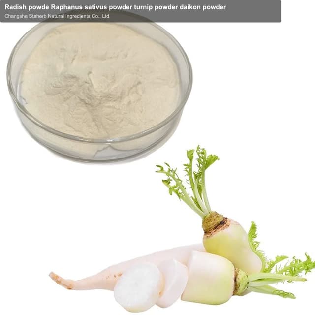 Radish powde Raphanus sativus powder turnip powder daikon powder