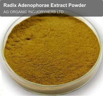 Radix Adenophorae Extract Powder